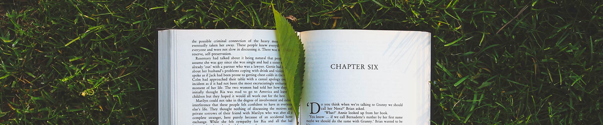 蘭溪泛仕達(dá)新材料科技有限公司